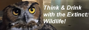 Think & Drink with the Extinct: Wildlife!