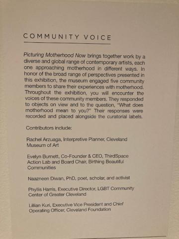 &quot;Picturing Motherhood Now&quot; Community Voice Contributors