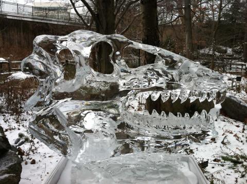 Cleveland Museum Natural History Ice Dinosaur