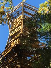 Holden Arboretum's new Kalberer Emergent Tower