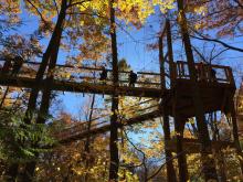 Holden Arboretum's new Murch Canopy Walk